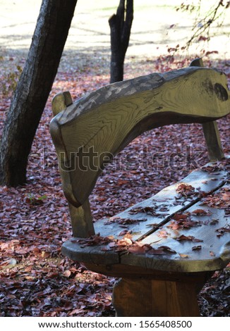 wooden bench and table  on  autumn in the park 