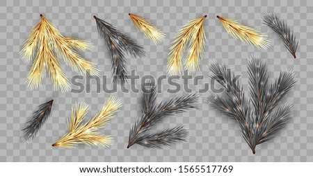Set of golden and black Christmas tree branches. Vector fir branches. Decorative design elements