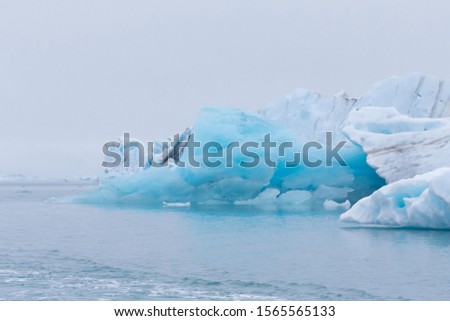 Iceberg lagoon jokulsarlon on the south of Iceland.