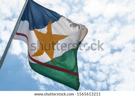 Roraima flag brazilian state symbol