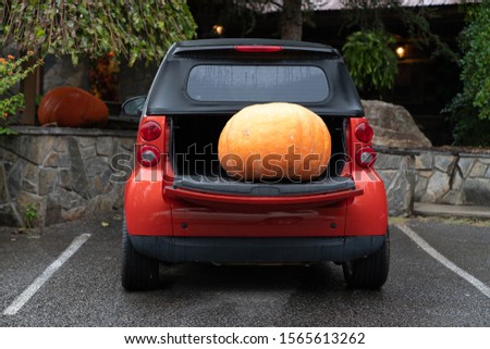 A pumpkin is in the trunk of a red car.