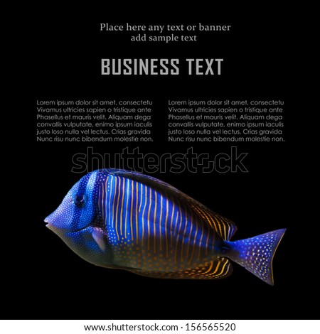 Card design with exotic fish