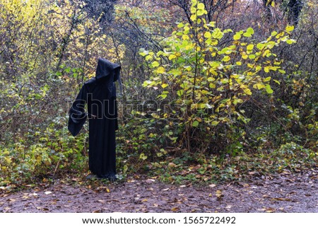 The witch in the woods