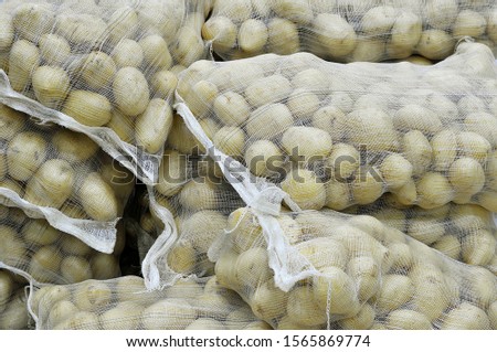 Bag of potatoes stacked in market stock