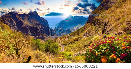 Masca valley.Canary island.Tenerife.Spain.Scenic mountain landscape.Cactus,vegetation and sunset panorama in Tenerife Royalty-Free Stock Photo #1565888221