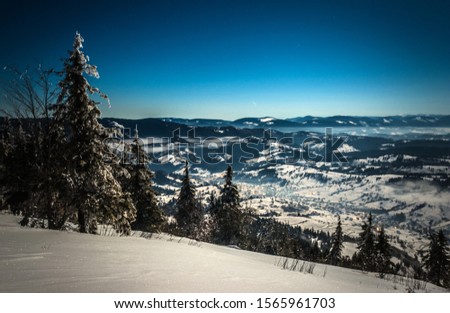 Mesmerizing landscape of snowy ski slope on the backdrop of spruce forest and mountain ranges in the moonlight and blue sky on a clear frosty winter evening. Concept of outdoor recreation in winter