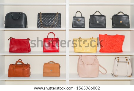 Set of stylish women's handbags. Trendy leather accessories of different types isolated on white background. 