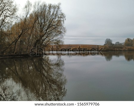 Gray autumn landscape. Rainy weather. Trees by the river are reflected in the water.