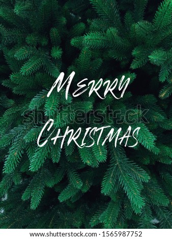 Christmas banner. Background Xmas design with pine tree vertical christmas poster, greeting cards, headers