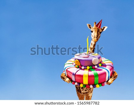 Giraffe with birthday cake and cap on blue sky