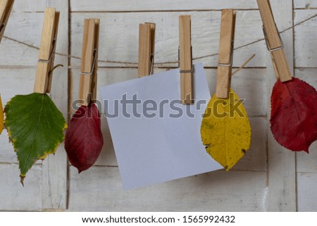 Autumn leaves and a piece of paper caught with a pinch of hemp rope on a white wooden background