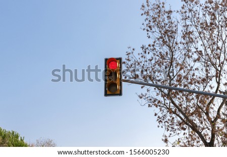 Red traffic light  trees and blue sky background 