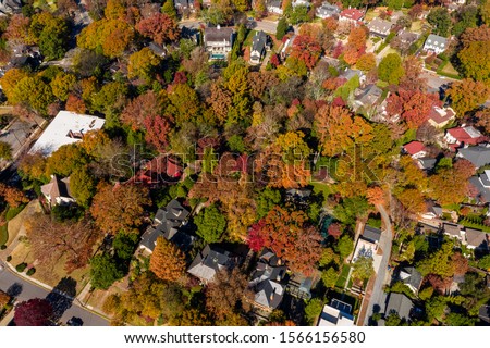 Aerial picture of houses in Midtown Atlanta during the fall