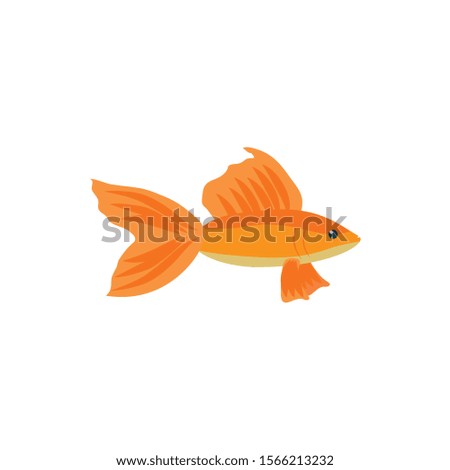 Sea fish design, Ocean nature beach underwater aquarium and marine theme Vector illustration