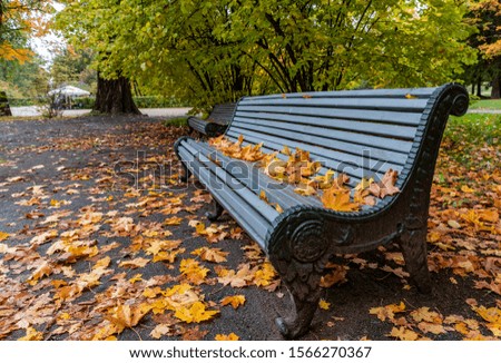 Bench in park of Saint-Petersburg