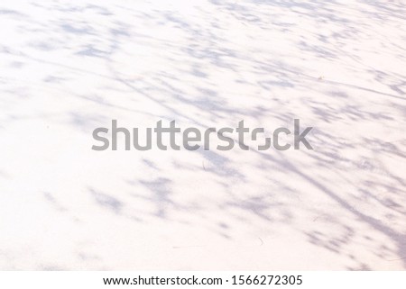 Background shadow and Nature shadows.Gray shadows trees leaf on white wall. Abstract shadows nature concept blurred background.White and Black.Texture shadows
