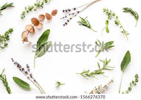 Herbal formulations for health care on white background top view pattern frame copy space Royalty-Free Stock Photo #1566276370