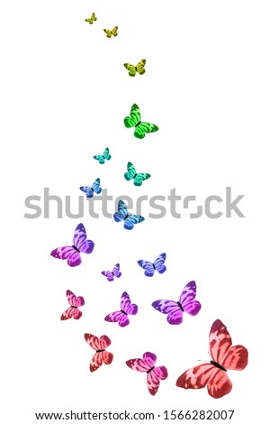 flock of flying colored butterflies isolated on white background