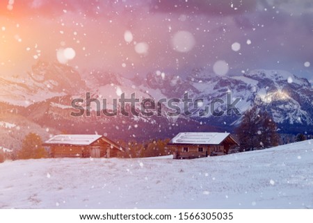 Magic winter landscape, background with snowfall at sunset. Fairy wintry scene. Alpe di Siusi or Seiser Alm in South Tyrol, Italy in winter.  