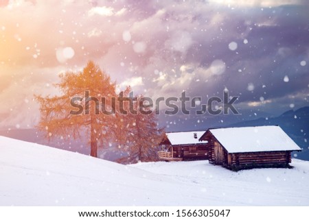 Magic winter landscape, background with snowfall at sunset. Fairy wintry scene. Alpe di Siusi or Seiser Alm in South Tyrol, Italy in winter.  