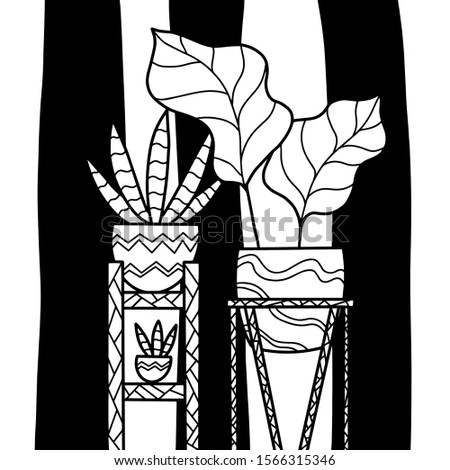 Indoor flowers, plant in pot. Hand drawn vector line illustration. Coloring page, design element.
