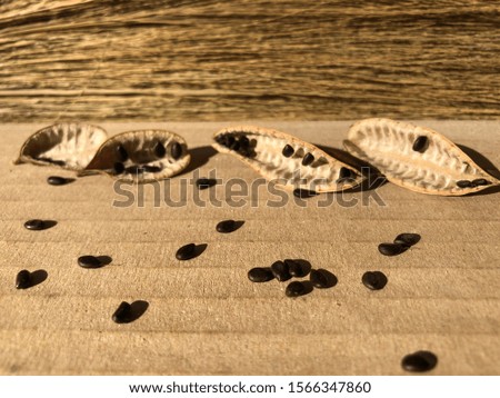 Picture of seeds on a brown paper surface with a broom blur background.