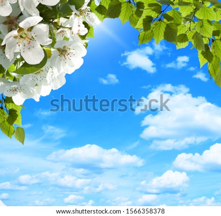 adorable picture with sky, flower, tree, moon and bird