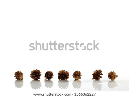 Pine cone on white background copy space for text