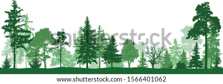 Forest, park. Silhouette vector. Landscape of isolated trees