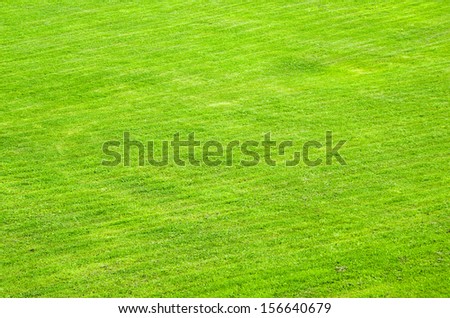 trimmed green lawn, a background