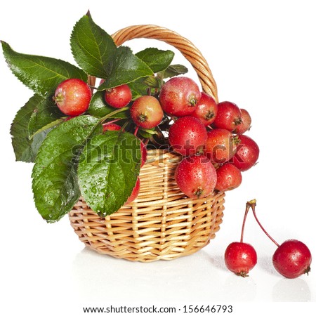 Apple fruits  in wicker basket  Isolated on a white background