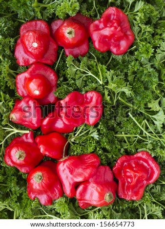 Letter E. Pepper and parsley.