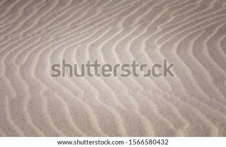 Beach Sand Dune Sea Farewell Spit in New Zealand