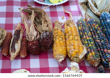 On the table there are different types of corn.