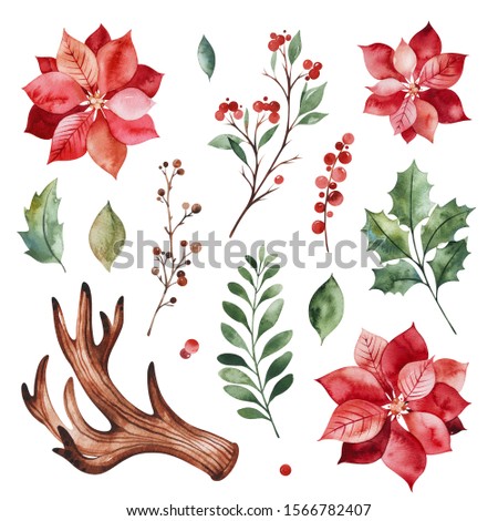 Christmas and New Year collection. Botanical set with leaves,branches,horn,berries,holly,poinsettia flowers.Handpainted watercolor elements.Perfect for invitations and greeting cards,bouquets,patterns