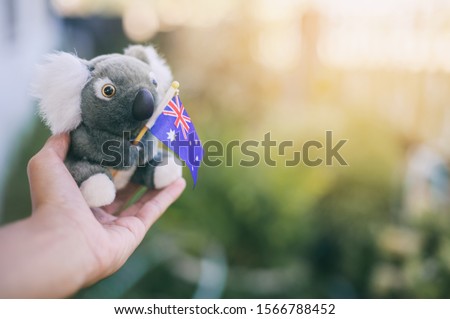 Holding model Koala hold Australia national flag, Pray for Australia. Australia bush fires. Royalty-Free Stock Photo #1566788452