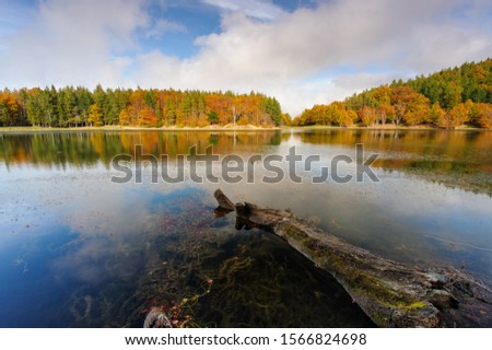 
Autumn colors on a lake. The clouds are reflected on the water. Thanks to the polarizer the reflections disappeared.