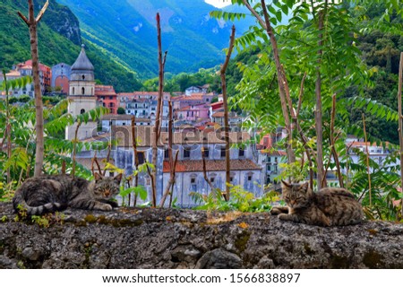 View of a mountain town in the province of Salerno