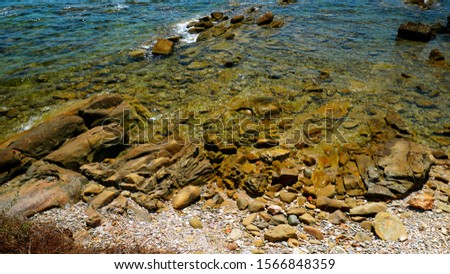 seascape with rocky beach of various sizes and plants in the foreground on a sunny day