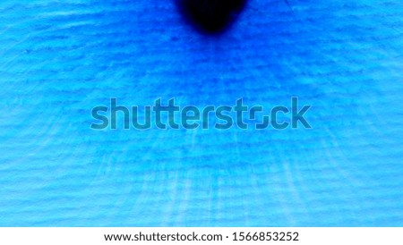
Blue Ink splattering on white background. Macro shot of blue paint moving into parchment paper