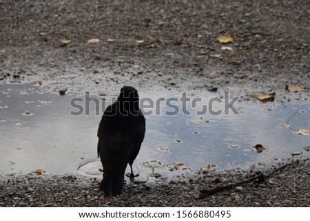 Sad Crow, standing inside a concentration camp