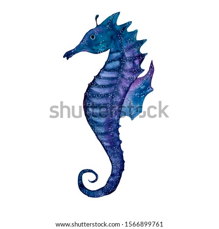 Beautiful watercolor seahorse with stars on white background in excellent quality, great for any decor and design