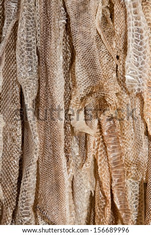 snake skin collection for use as background