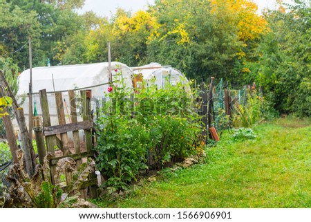 Overgrown garden to the abandoned house. People use bulky waste to separate the garden compartments.