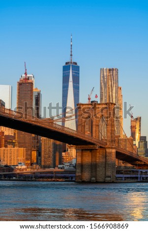 Brooklyn Bridge and Lower Manhattan skyline behind, New York, USA