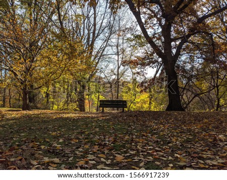 Park bench in fall. Wyman Park. Baltimore, Maryland, USA