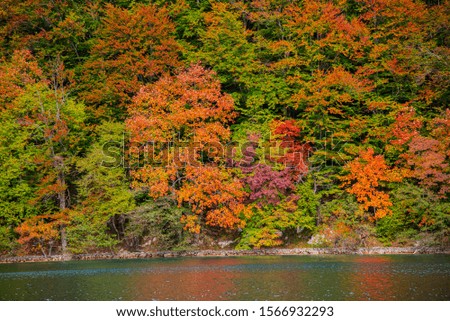 Landscape at the autumn near the lake