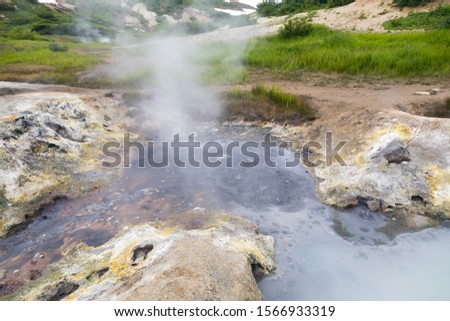 Small Valley of Geysers, Kamchatka Peninsula, Russia. This is a unique active fumarole field, the hot gases of which pass through the water of a cold stream, heating it and creating a gushing effect.