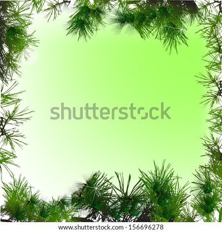 Christmas tree branches  background