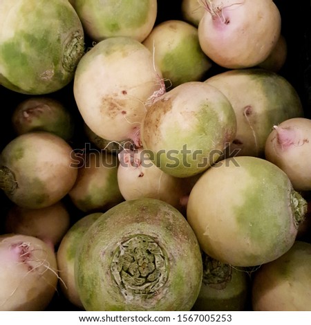 Macro Photo food vegetable Turnip. Texture background fresh  Turnips. Product Image Vegetable Turnip